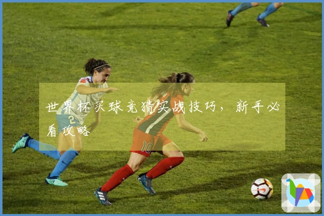 世界杯买球竞猜实战技巧，新手必看攻略