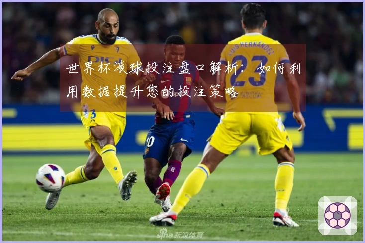 世界杯滚球投注盘口解析：如何利用数据提升您的投注策略