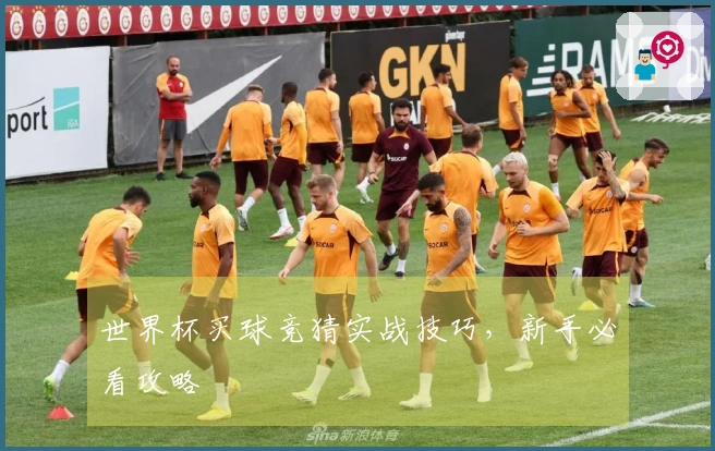 世界杯买球竞猜实战技巧，新手必看攻略