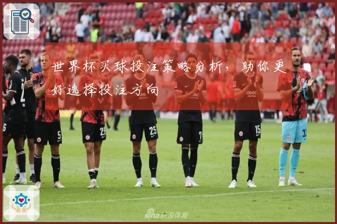 世界杯买球投注策略分析，助你更好选择投注方向