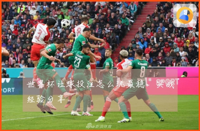 世界杯让球投注怎么玩最稳，实战经验分享
