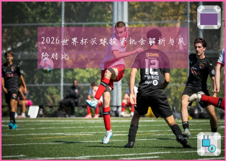 2026世界杯买球投资机会解析与风险对比